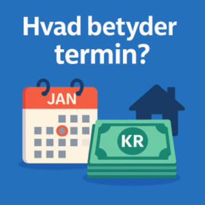 Hvad betyder termin